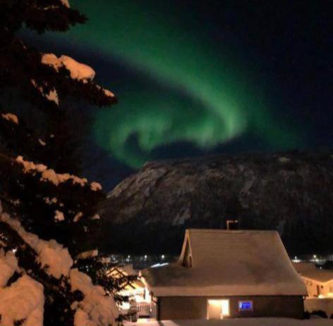 Tromso Arctic Villa With Free Parking Exterior photo